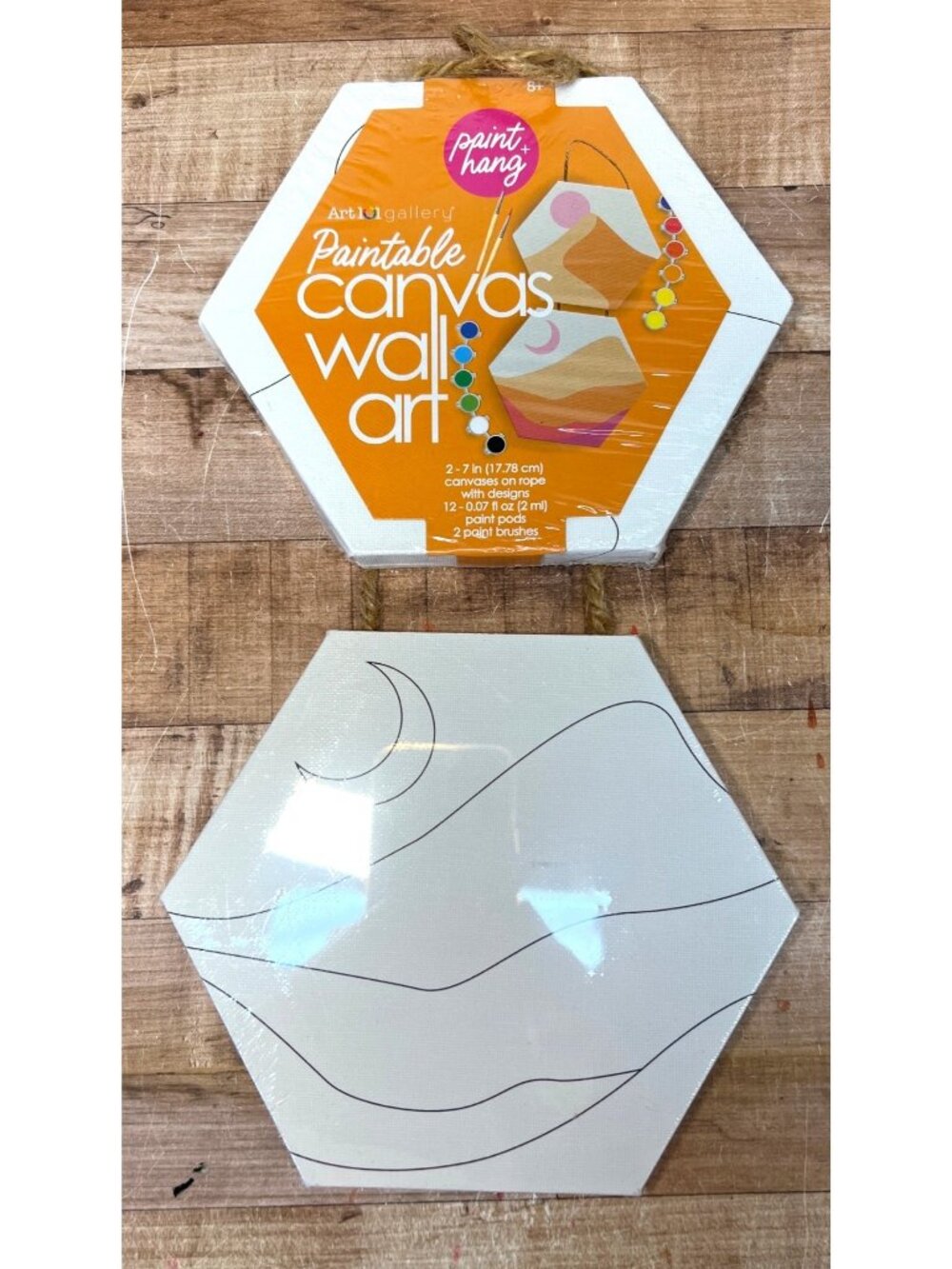 Paint & Hang Art Paintable Canvas Wall Art Kit 2 Canvases Paint Pods & Brushes